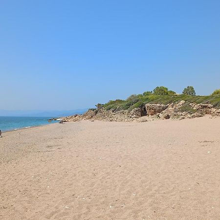 Tzanetos Seaside Villa Kyparissia Eksteriør billede