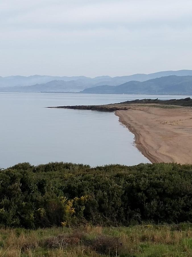 Tzanetos Seaside Villa Kyparissia Eksteriør billede