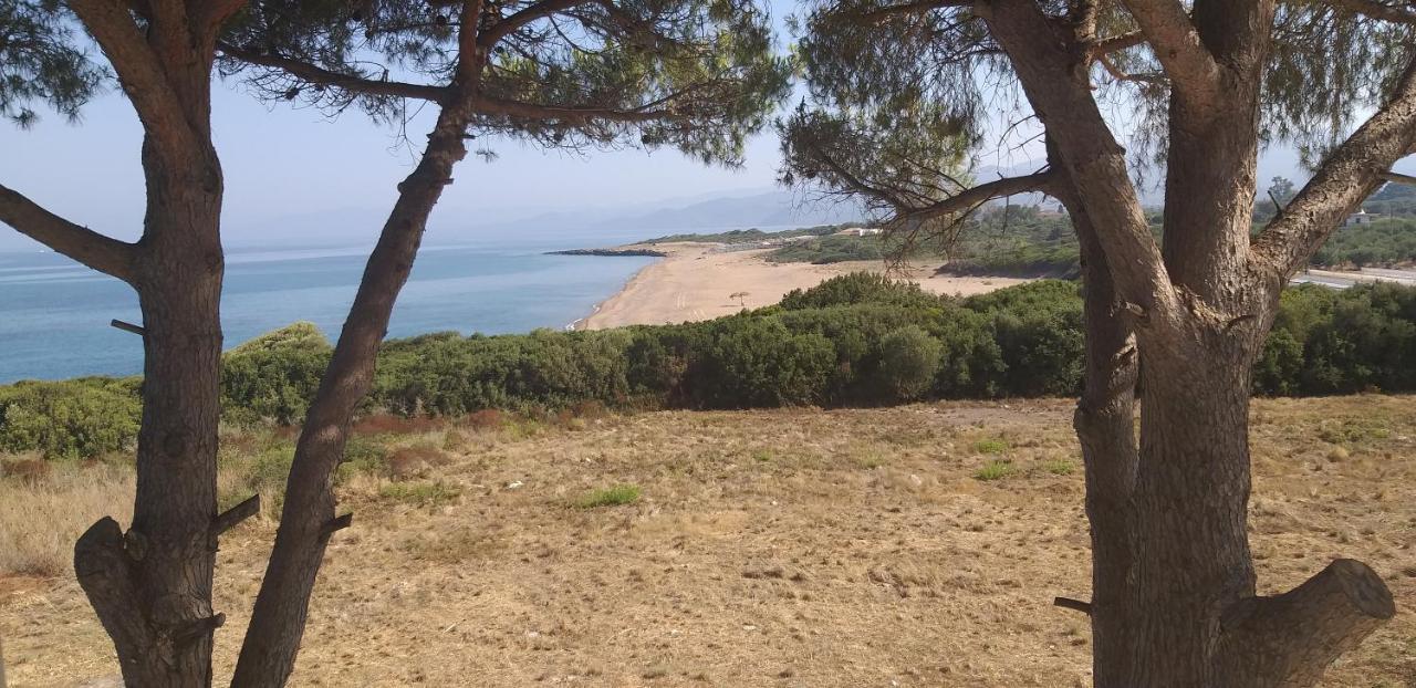 Tzanetos Seaside Villa Kyparissia Eksteriør billede