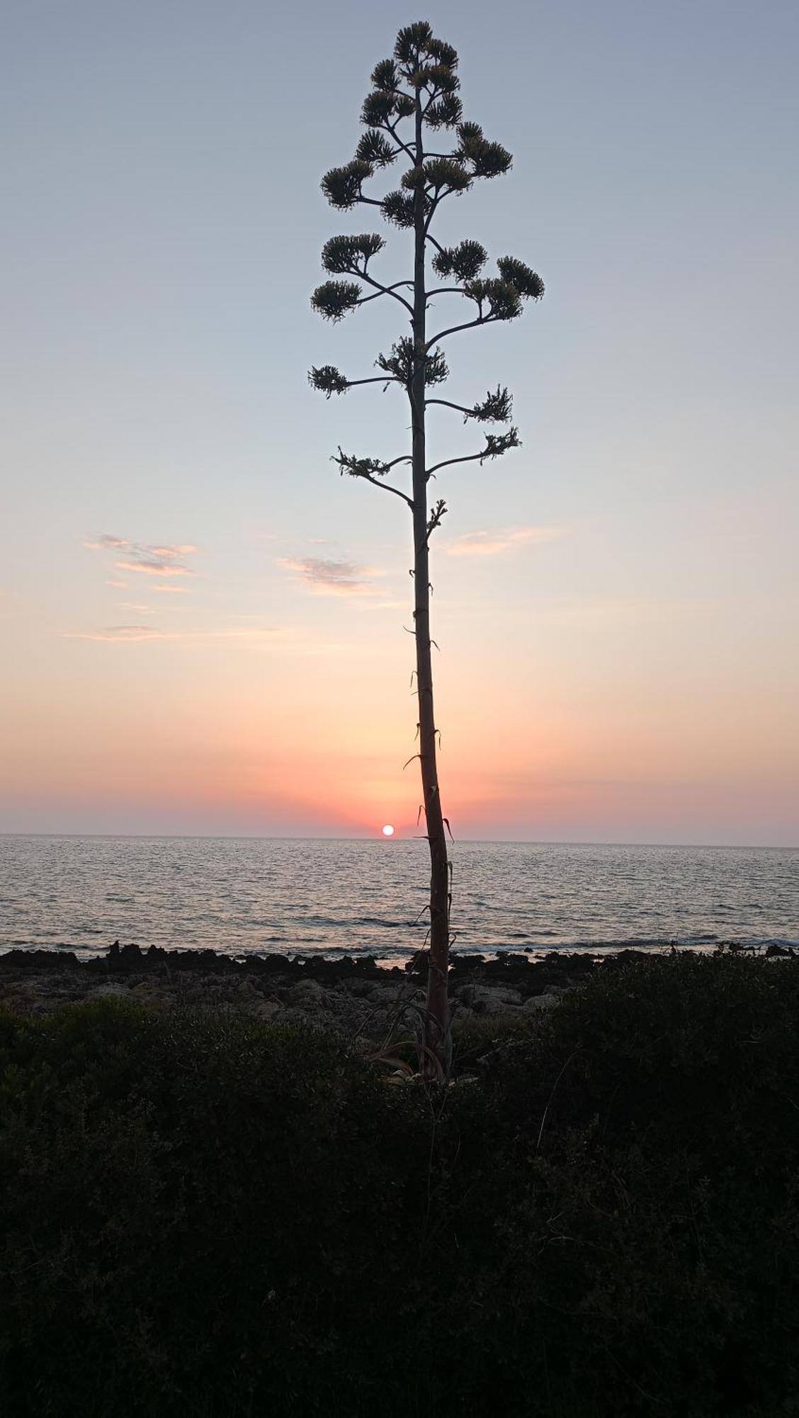 Tzanetos Seaside Villa Kyparissia Eksteriør billede