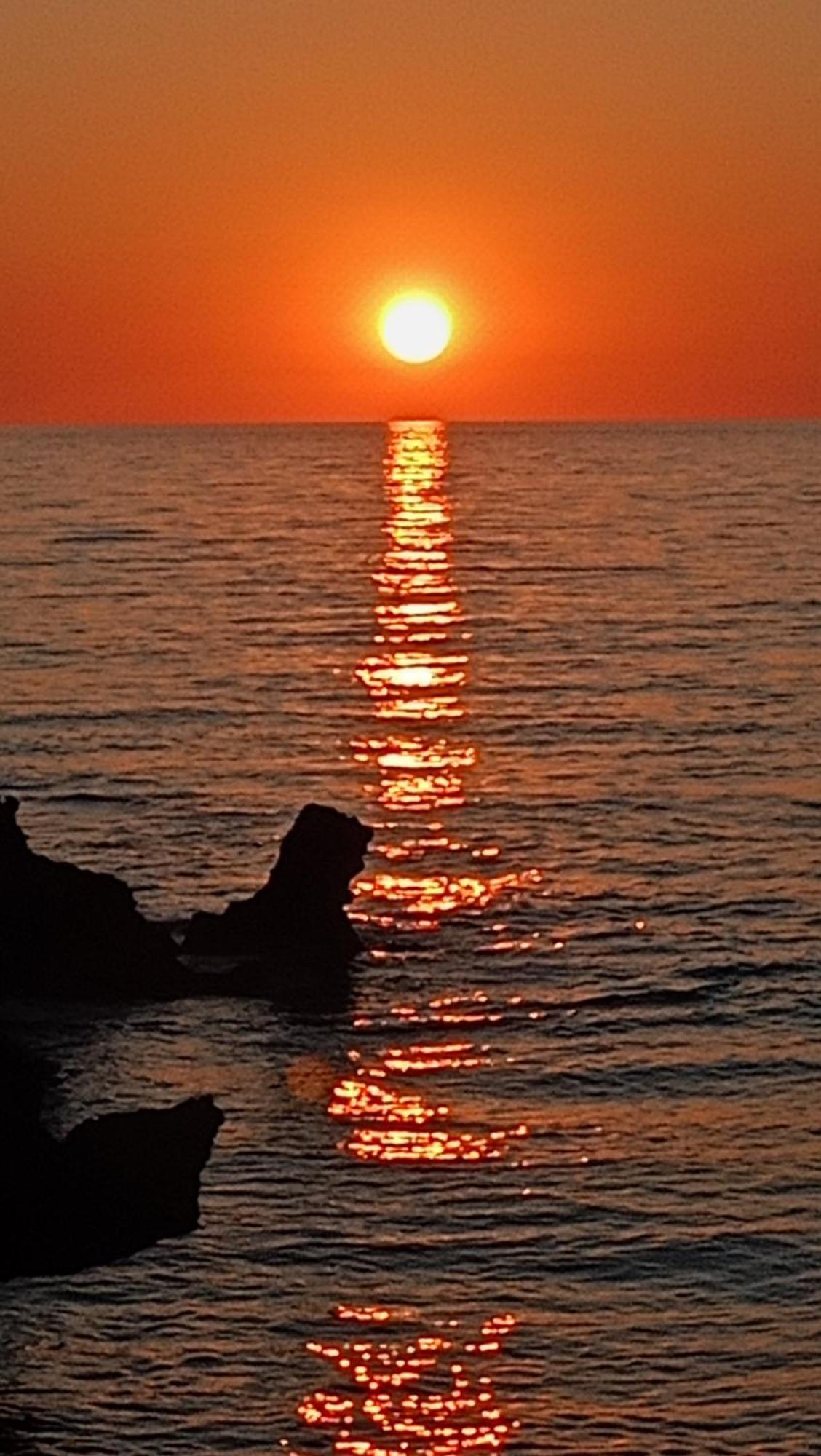 Tzanetos Seaside Villa Kyparissia Eksteriør billede